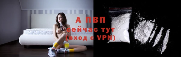 прущие крисы Вязьма