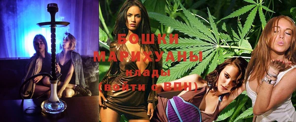 гидра Вязники