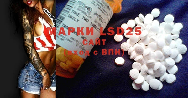 гидра Вязники