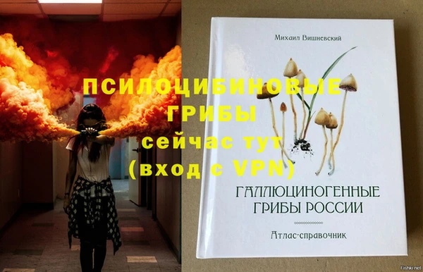бутират Вяземский