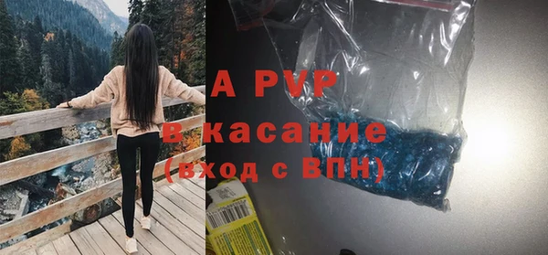 прущие крисы Вязьма